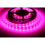 T-LED 078081 – Zboží Dáma