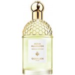 Guerlain Aqua Allegoria Nerolia Vetiver toaletní voda dámská 125 ml tester – Sleviste.cz