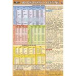 Skloňování v češtině - Kupka Petr a kolektiv – Zboží Dáma