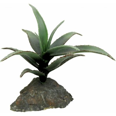 Lucky Reptile Tillandsia 17 cm – Zboží Mobilmania