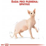 Royal Canin Sphynx Adult granule pro kočky 10 kg – Hledejceny.cz