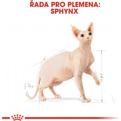 Royal Canin Sphynx Adult granule pro kočky 10 kg – Hledejceny.cz