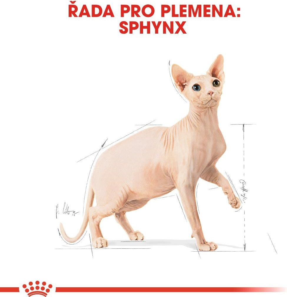 Royal Canin Sphynx Adult granule pro kočky 10 kg