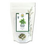 Salvia Paradise Medvědí Česnek nať 500 g – Sleviste.cz