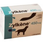 ZYLKENE 450 mg 100 tbl – Zboží Mobilmania