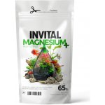 Invital Magnesium Plus 65 g – Zboží Dáma