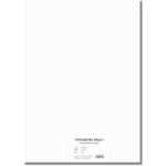 STEPA Barevný karton EXTRA 300g 50x70cm - bílý 10listů