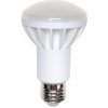 Žárovka Wojnarowscy LED R63 E27 230V 8W Studená bílá mléčná