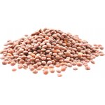 Country Life Čočka červená Bio 0,5 kg – Zbozi.Blesk.cz