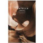 SKIN1004 Madagascar Centella Probio-Cica Nourishing Mask Zklidňující plátýnková maska s centellou a probiotiky 22 ml – Sleviste.cz