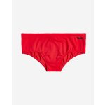 Quiksilver Quiksilver Everyday Brief plavky – Hledejceny.cz