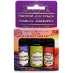 Altevita Set olejů Pozornost a Koncentrace 3 x 10 ml + usb difuzér 2GO – Hledejceny.cz