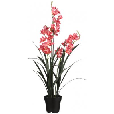 Orchidej - Cymbidium v obalu růžová V117 cm