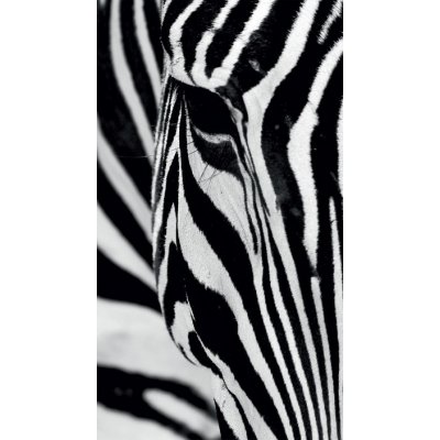 FOTOZÁVĚS ZEBRA (LIGHT) – Hledejceny.cz