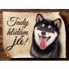 Autovýbava Sport hobby Cedulka Shiba-Inu Tady hlídám já 20 x 15 cm