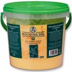 Drutep Rochova sůl do koupele SPECIÁL, 1 kg – Zboží Mobilmania