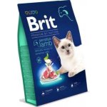 Brit Premium by Nature Cat Sensitive Lamb 0,8 kg – Zbozi.Blesk.cz