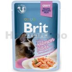 Brit Premium Cat Sterilised Salmon 100 g – Zbozi.Blesk.cz
