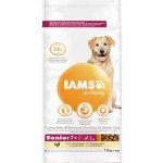 IamsDog Senior Large Chicken 12 kg – Hledejceny.cz