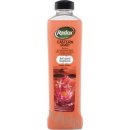 Přípravek do koupele Radox Eastern spirit pěna do koupele 500 ml