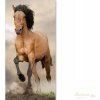 Jerry Fabrics Dětská osuška Kůň brown 70 x 140 cm