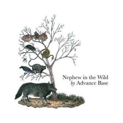 Advance Base - Nephew In The Wild CD