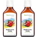 YaoMedica 069 Kladivo na GU Klouby tinktura 2 x 50 ml – Hledejceny.cz