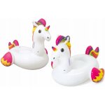 Bestway 41114 – Zboží Dáma