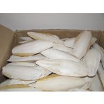 Zagers Vogelvoeders Sépiová kost pravá 15 cm 15 ks – Zboží Dáma