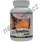 Nutristar Synefrin Multi 100 tablet – Zboží Mobilmania