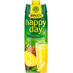 Rauch Happy Day ananas 100% 1l – Zboží Mobilmania