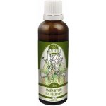 Naděje Gotu Kola Bráhmí 50 ml tinktura z bylin – Hledejceny.cz