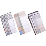 pánské kapesníky M11 světlé – Zboží Dáma