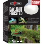 Repti Planet Daylight Frosted 100 W 007-41024 – Zboží Mobilmania