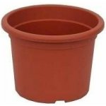 obal d15cm Narcis TER – Hledejceny.cz
