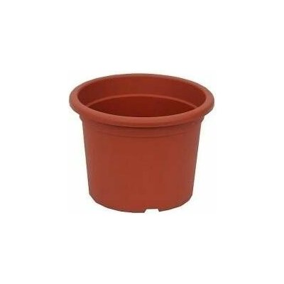 obal d15cm Narcis TER – Hledejceny.cz
