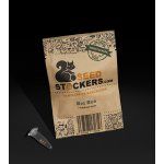 Seedstockers Big Bud AUTO semena neobsahují THC 3 ks – Zboží Dáma
