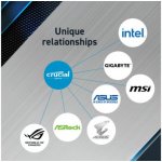 Crucial Pro DDR5 32GB 5600MHz CL46 (2x16GB) CP2K16G56C46U5 – Zboží Mobilmania