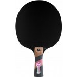 Cornilleau Excell 3000 Carbon – Hledejceny.cz