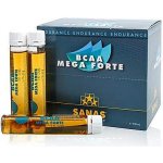 SANAS BCAA MEGA FORTE 660 ml – Hledejceny.cz