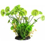 Repti Zoo Pilea 20 cm – Zboží Dáma