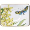 Talíř Villeroy & Boch Amazonia 14 x 11 cm