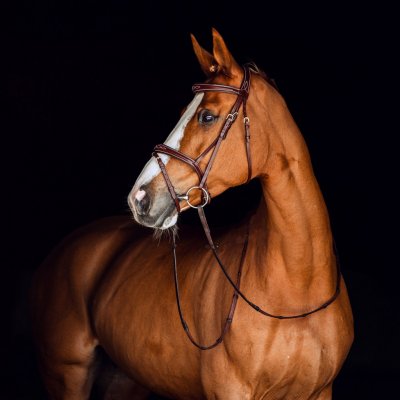 Horze Uzdečka Sion s otěžemi Hnědá – Zboží Dáma