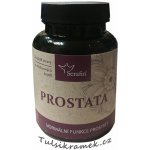 Serafin Prostata přírodní bylinné kapsle 90 tobolek – Hledejceny.cz