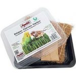 Apetit ptačí tráva pěstební miska kokos.rohož 30 g – Hledejceny.cz