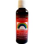 Nový obzor Psychoregen Duhové elixíry 50 ml – Hledejceny.cz