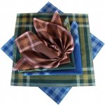 Etex pánské kapesníky bavlněné typ D – Zboží Dáma