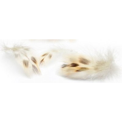 Veniard Mallard Duck Hen Breast Feathers Kachna divoká – Hledejceny.cz