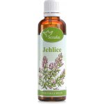 Serafin tinktura z bylin Jehlice trnitá 50 ml – Hledejceny.cz