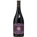 Piccini Memoro Quattro Elementi Primitivo Puglia 14% 0,75 l (holá láhev) – Hledejceny.cz